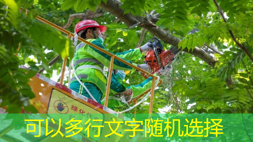 常用的长沙园林景观设计