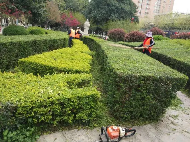 美丽恒久：绿化景观色设计在文化遗产保护中的重要作用。