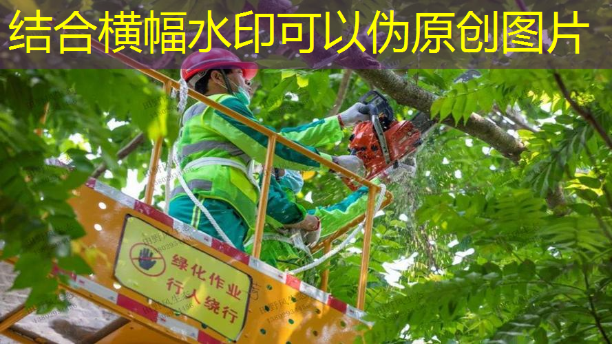 综合园林绿化工程降价方案