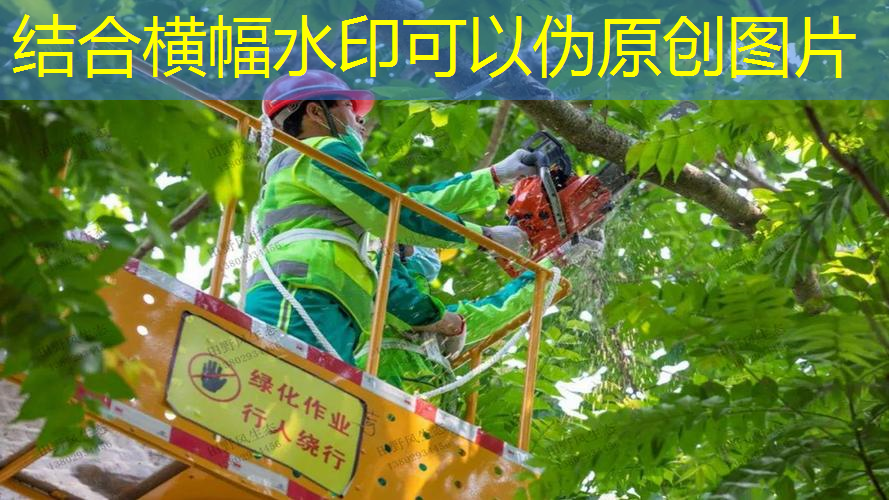 科技驱动下的园林创新：数字化管理如何提升城市绿化质量？