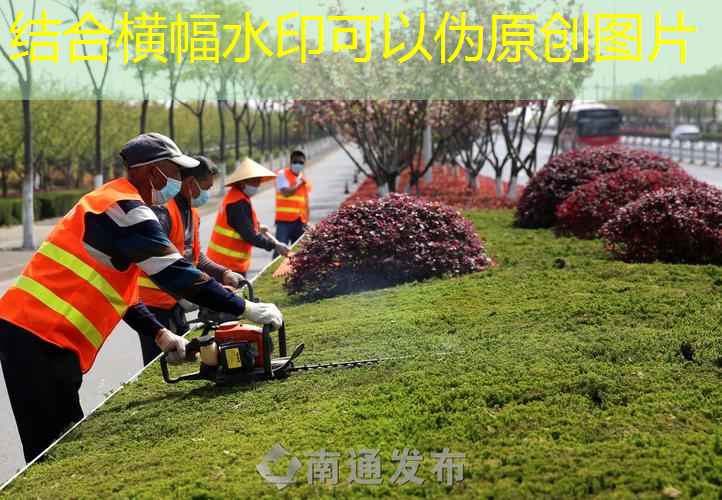 园林绿化工程中的木材防腐处理方法和要点
