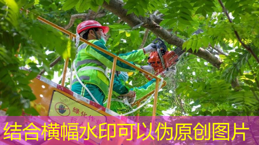 保山园林绿化管理处