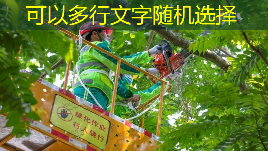 车库园林景观设计要求