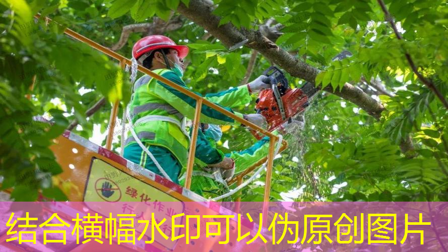 临沧城市绿化养护费用标准表