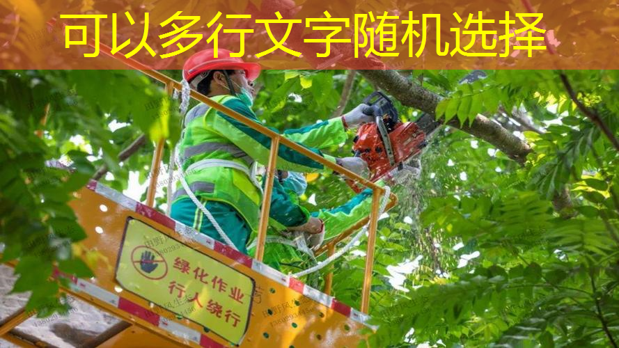 偷城市绿化
