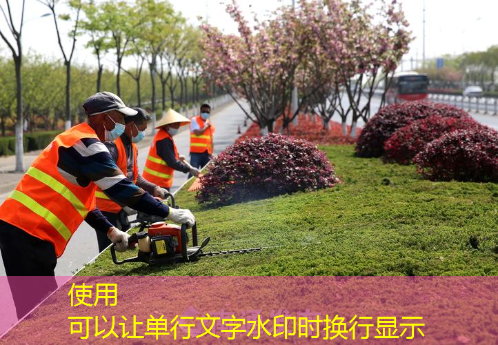 宁河园林绿化有限公司总经理
