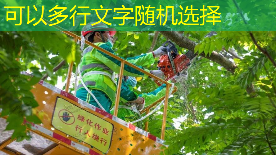 思茅园林局和园林绿化中心