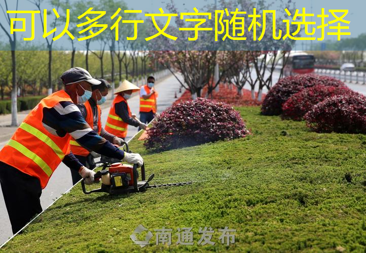 临安市政绿化常用苗木