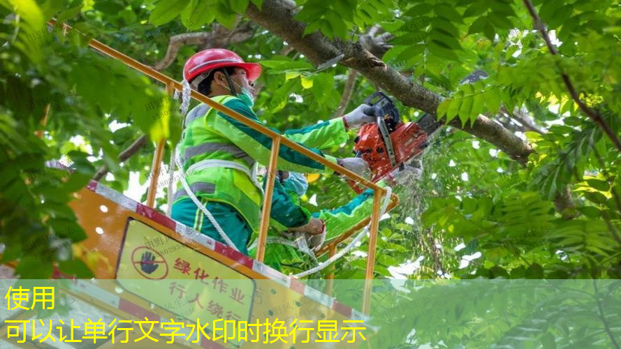 武汉市园林绿化工程预算