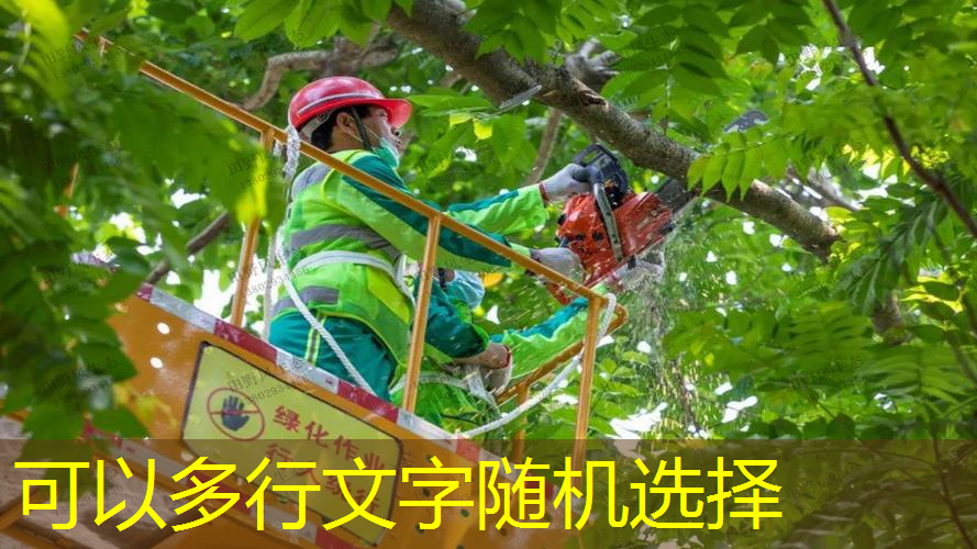 庭院植物绿化工程