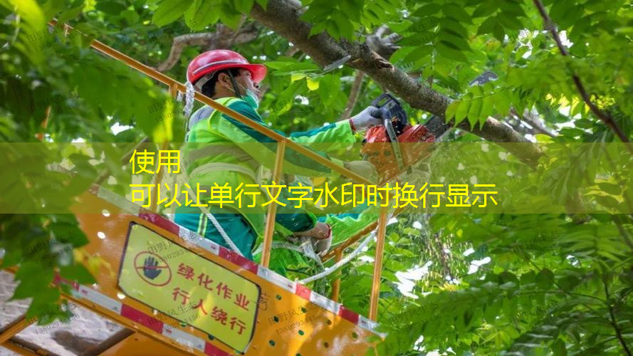 密山绿化工程招标网站查询