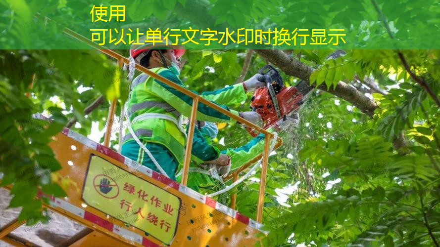 吉林园林绿化工程施工规范