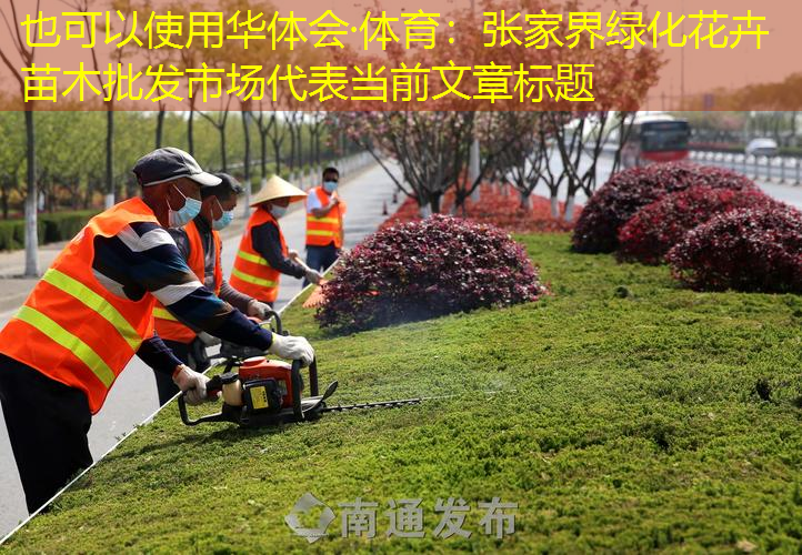 张家界绿化花卉苗木批发市场
