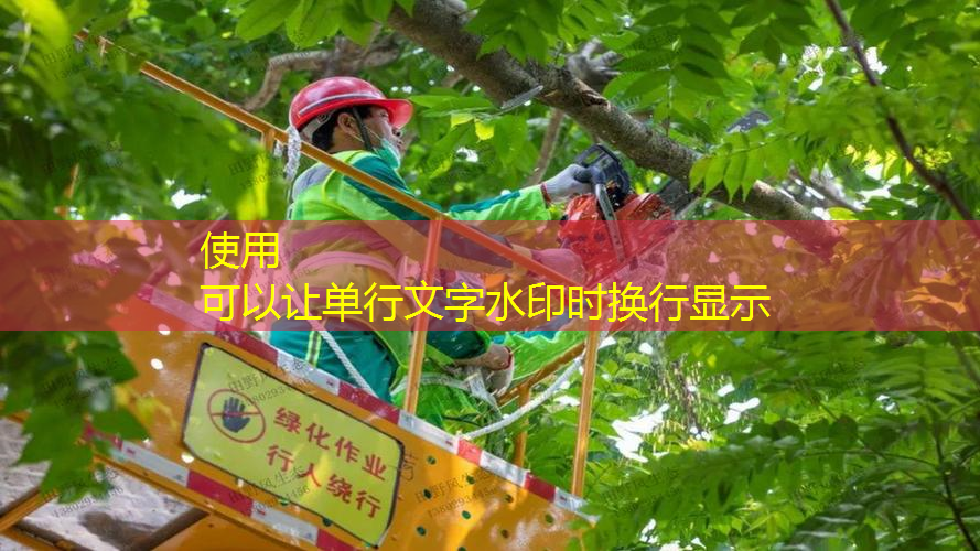 辽中区绿化亮化工程制作