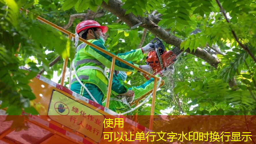 云林绿化工程师待遇