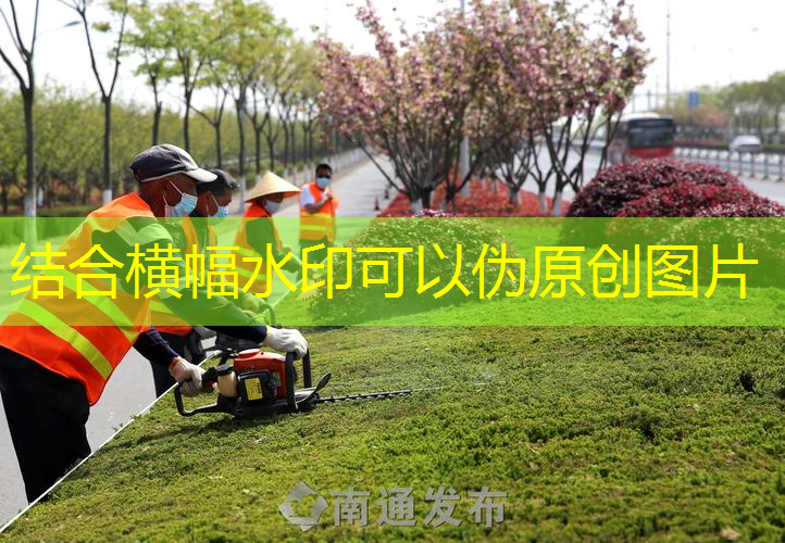 蚌埠华彩园林绿化工程怎么样