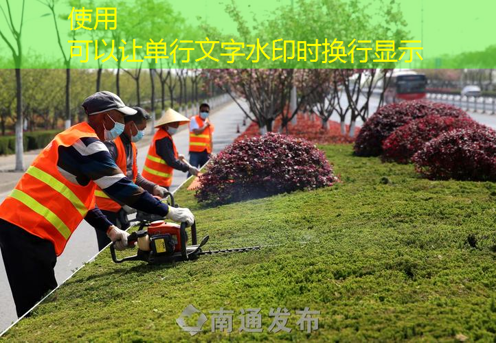 启东市政绿化工程报价清单表怎么写