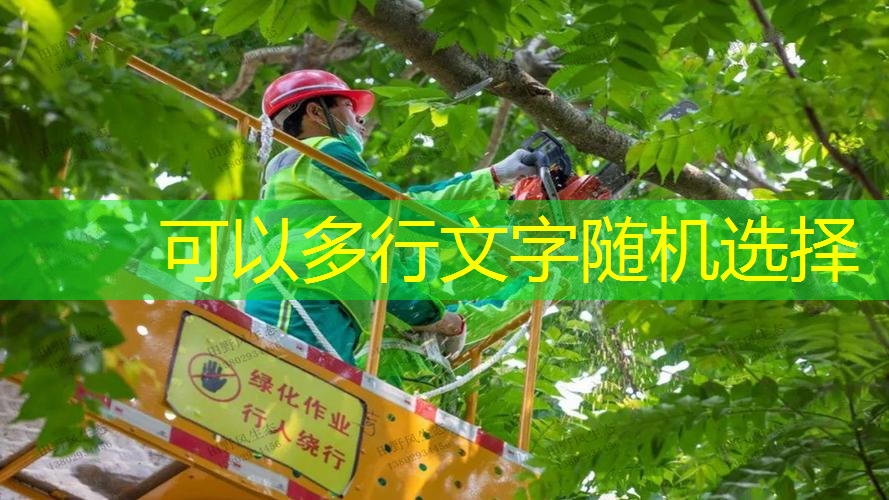 丽江市政绿化属于什么行业类别