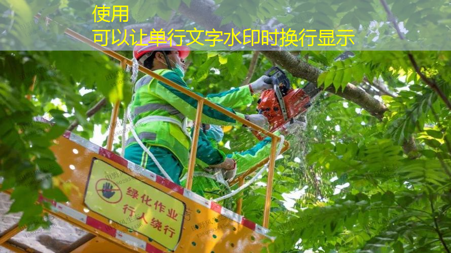 体育北大街绿化工程中标