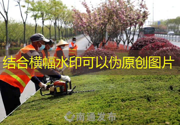 台州公路绿化工程公司