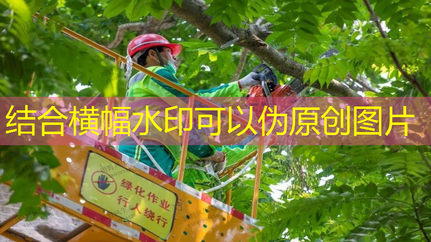 宜宾做市政绿化要哪些资质证书