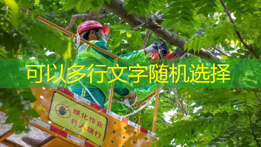 枣阳绿化和市容工程站