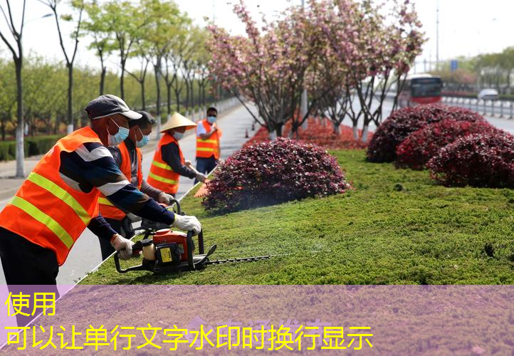 大港园林绿化用品批发市场