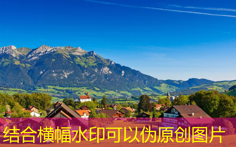 绿化工程在哪儿找工作