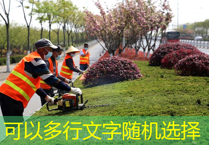 梅州园林绿化工程论文题目
