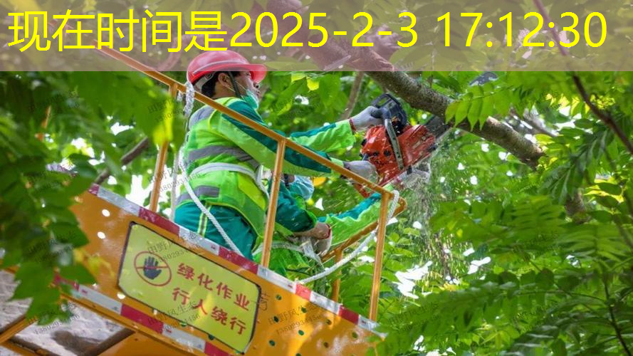 大型公园园林景观设计案例