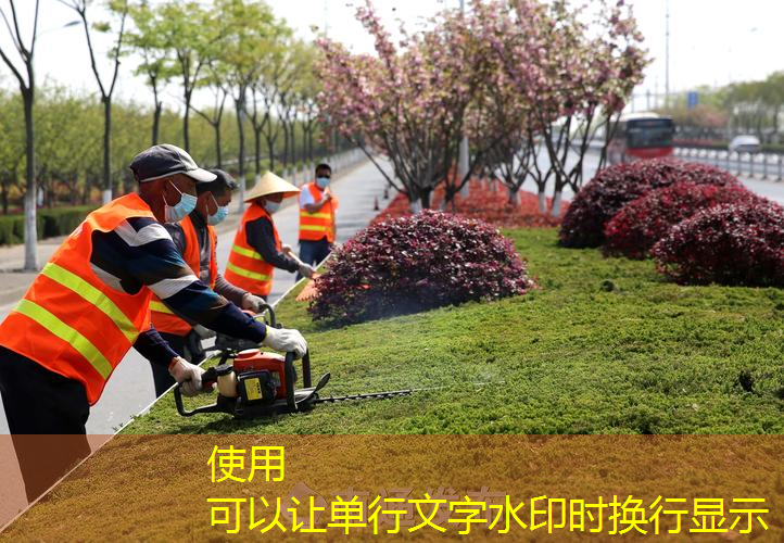 萧县翡翠城三期绿化工程