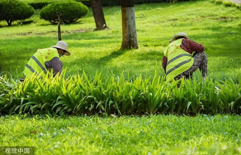 花木城园林景观设计案例