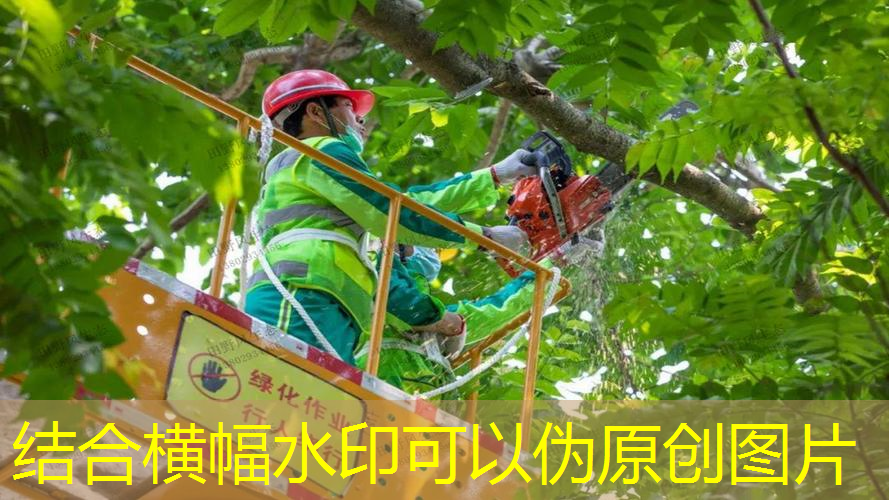 富川碧桂园二期绿化工程