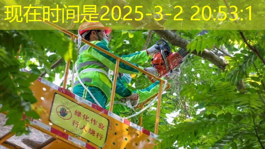绿化工程陈总简历怎么写