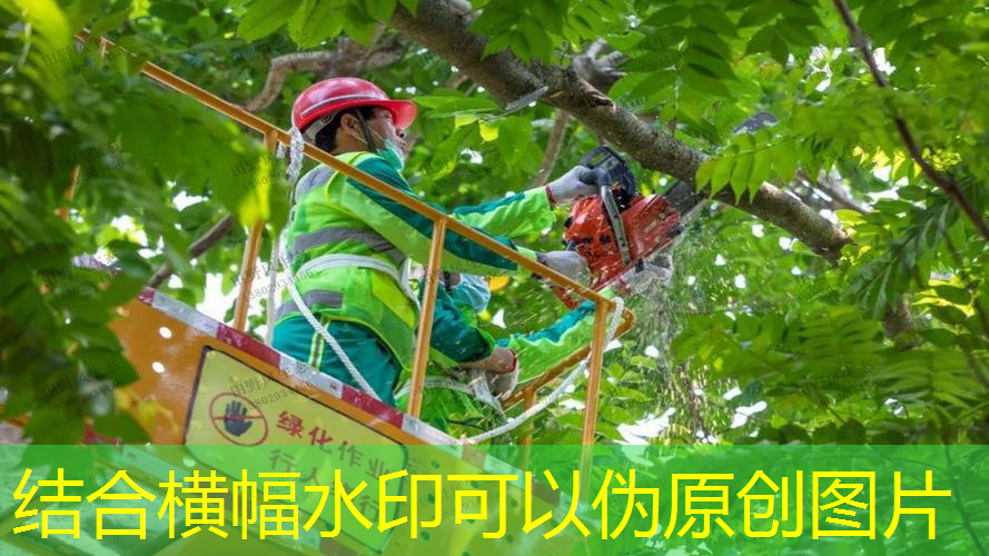 太行山绿化工程归哪个部门