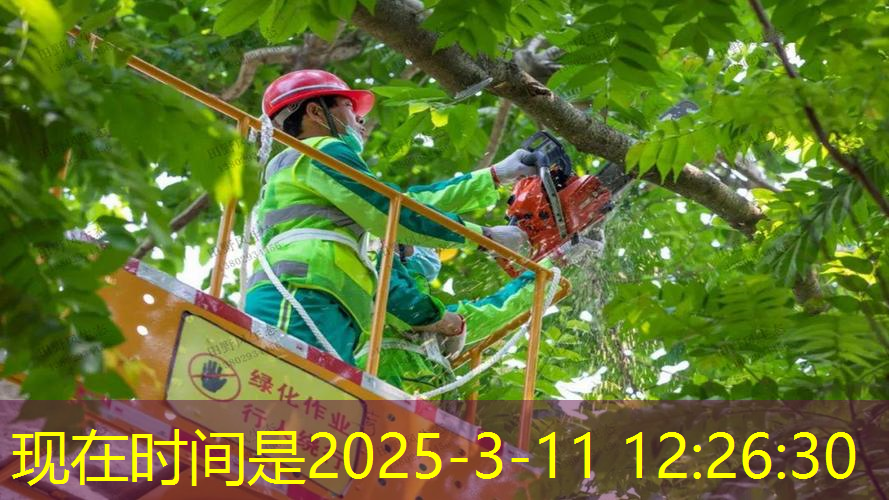 六盘水市政绿化工程