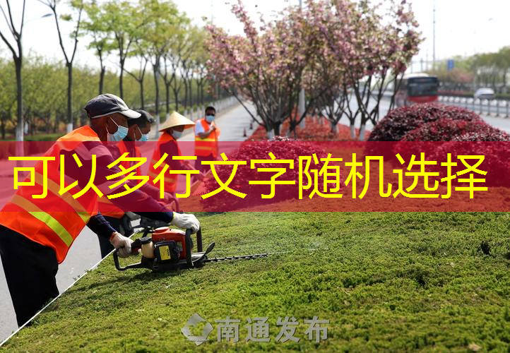 校园绿化工程整个流程是什么