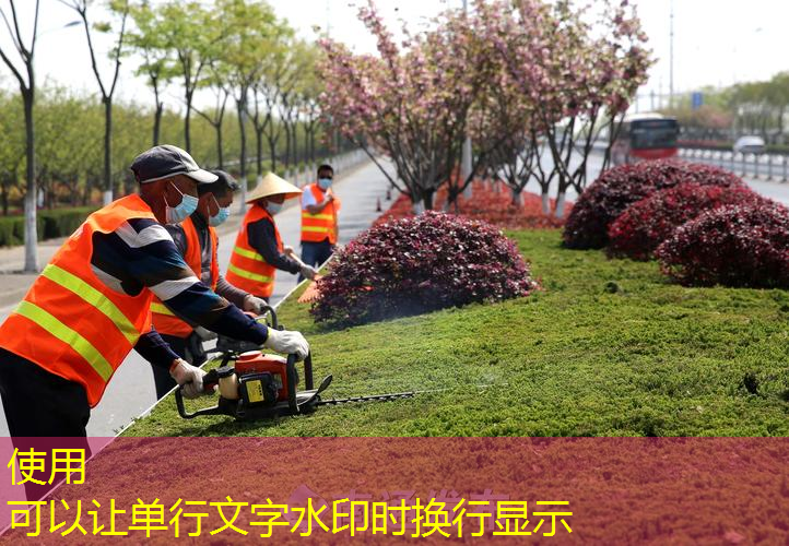 乐西高速边坡绿化工程项目