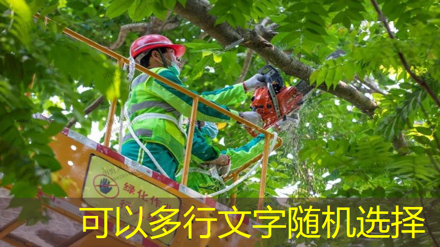 苗木绿化工程质保期多久