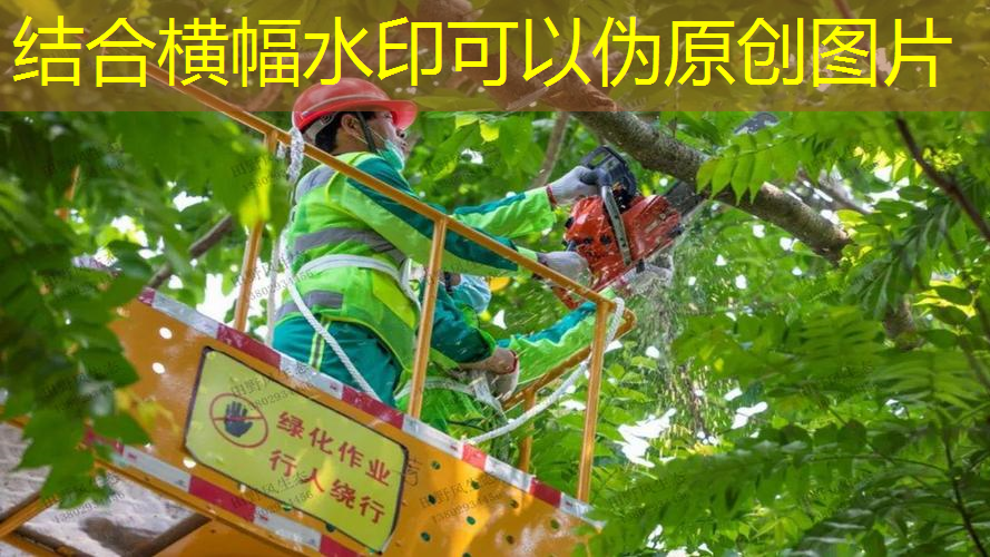园林废弃物能产生多少价值？探索园林废弃物创新处置模式！