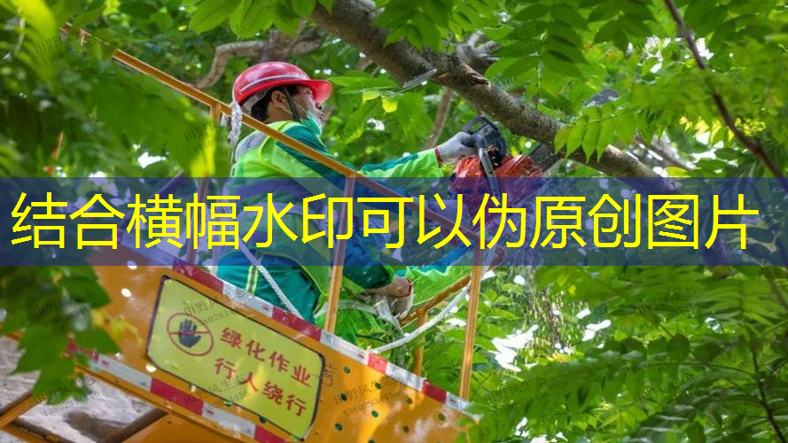 涉及经验和技能！园林管理员面试问题动态解析！