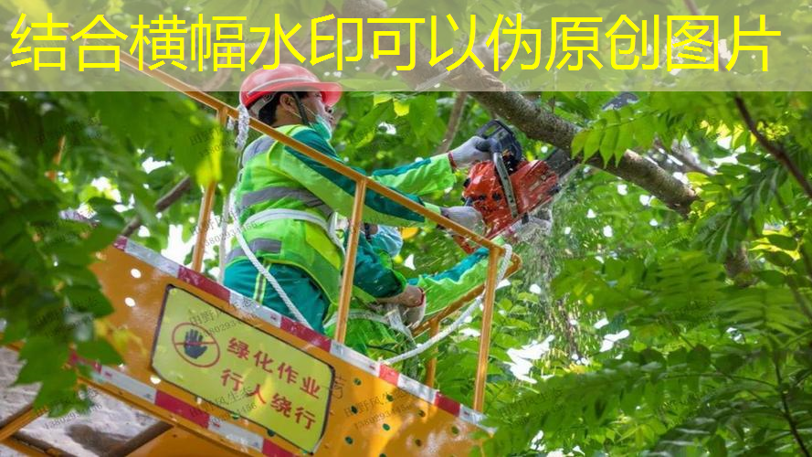 现在绿化工程还能干吗工作