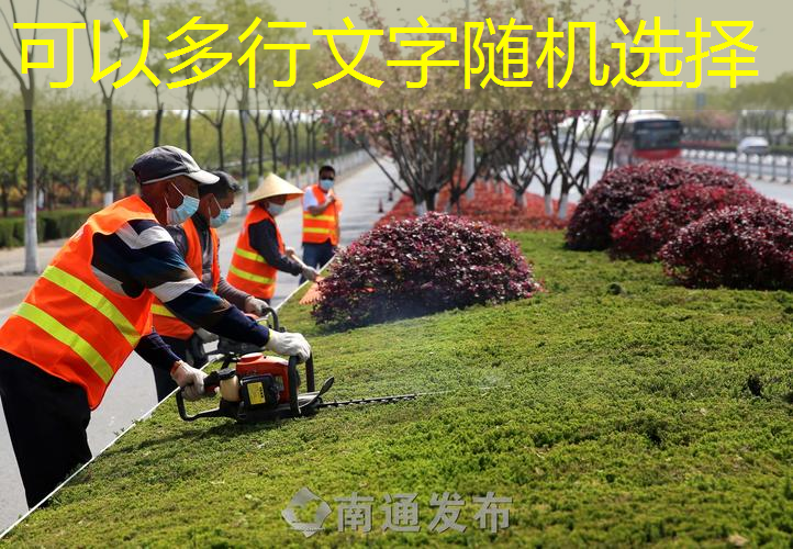 市政绿化工程课程内容