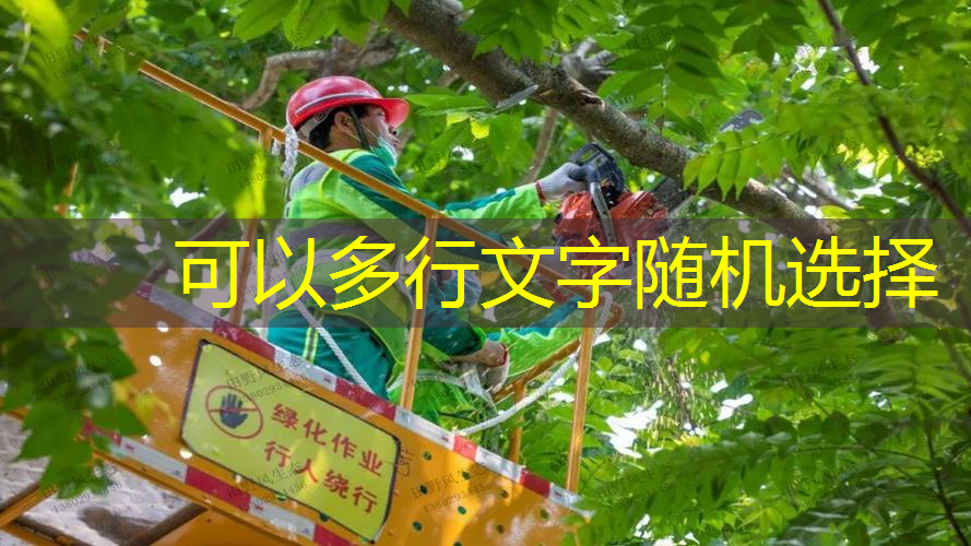 彩色路面园林景观设计
