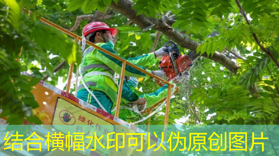 家庭园林景观设计思维