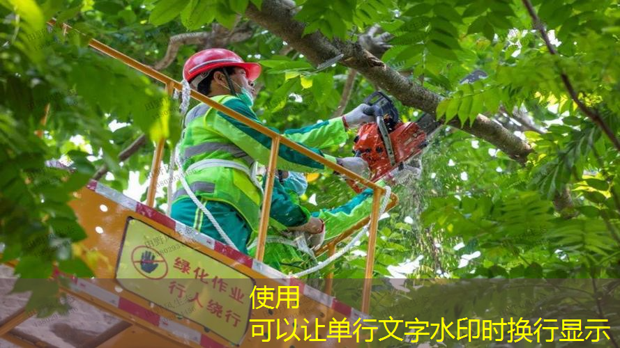 江苏园林绿化工程苗木采购与供应